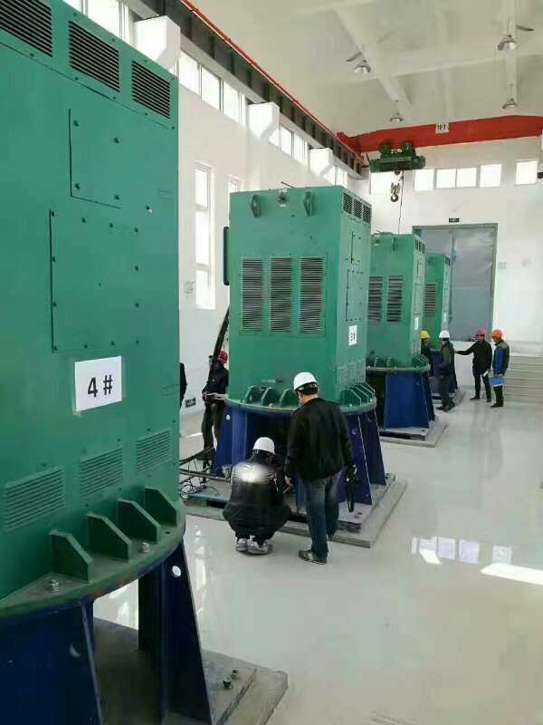 YJTFKK5001-12-220KW某污水处理厂使用我厂的立式高压电机安装现场