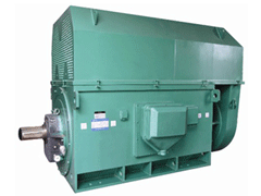 YJTFKK5001-12-220KWY系列6KV高压电机